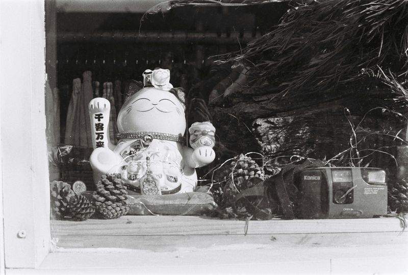 Tierfutterparadies GmbH - Image 3