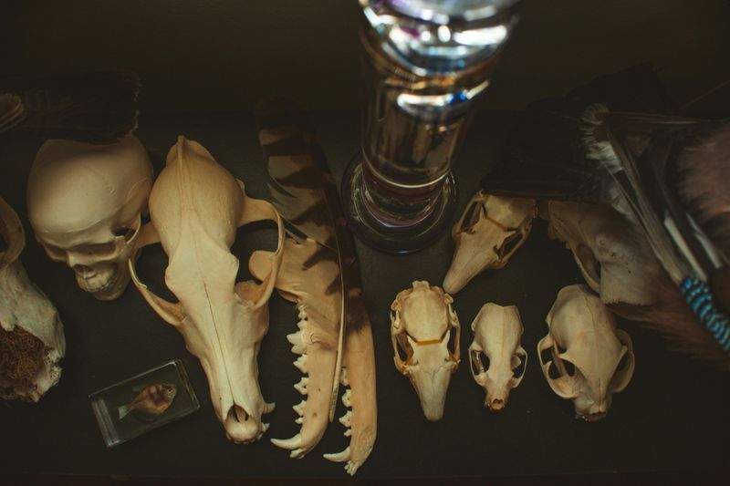 Tierfutterparadies GmbH - Image 7